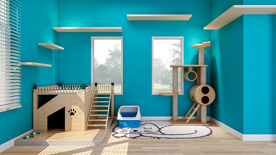 Desain Kamar Kucing di Rumah Nyaman bagi Anabul, Estetik bagi Pemilik